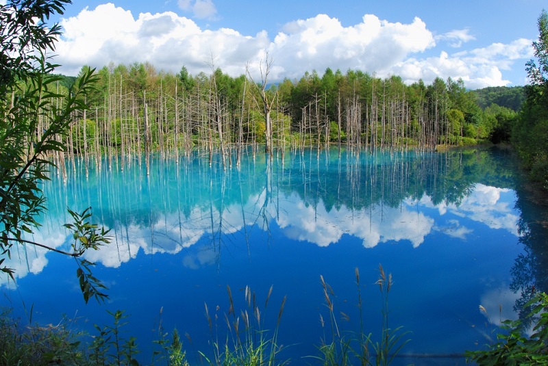 Blue pond Biei Summer 7