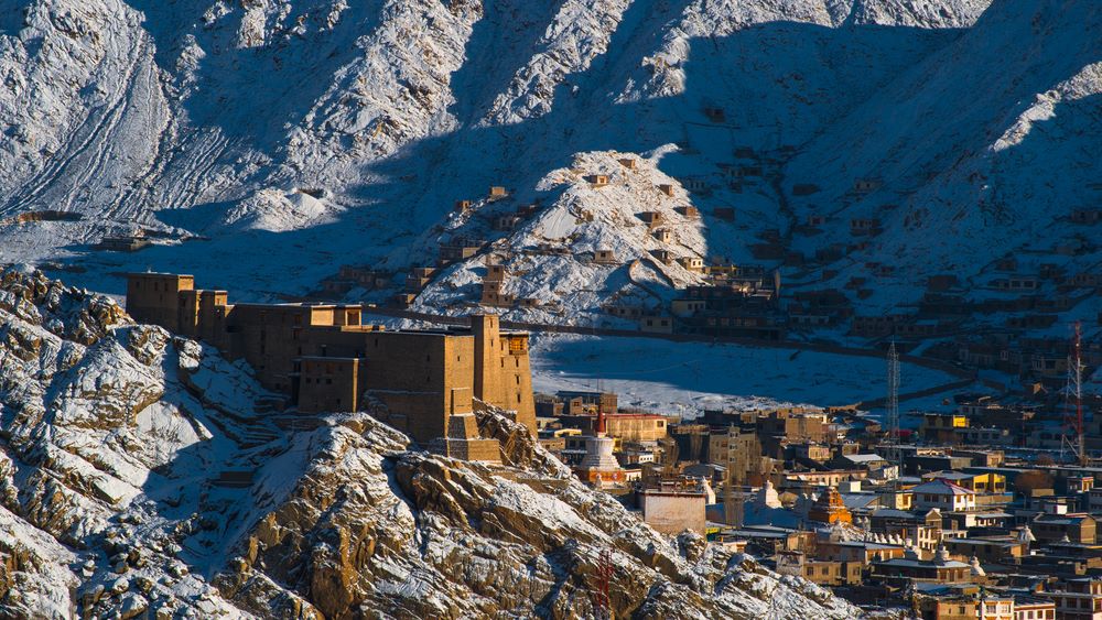 leh palace