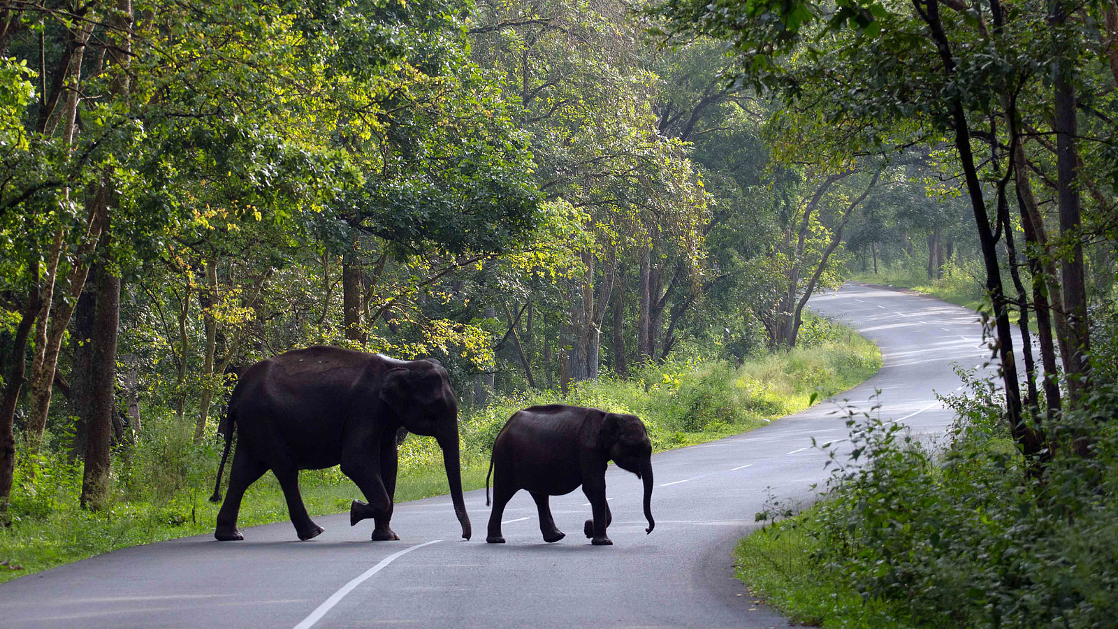 Wayanad travel places